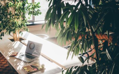 231 e ESG: elementi complementari – The Right Women