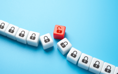 Modello Organizzativo Data Protection: come funziona? – The Right Women